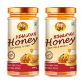 ANP BEE Honey Raw Himalayan Honey 500 g Pack of 2