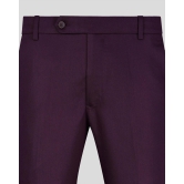 Wine Normal Fit Trousers-32