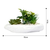 Anko Succulents in Bowl Planter for Indoor Use, Home Office, Garden, Balcony, Coastal Decor, Green & White, 19cm L x 11cm H x 10.5cm W-Anko Succulents in Bowl | Indoor Planter | Home, Office, Gar