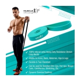 MuscleXP - Wrist Excerciser ( Pack of 1 ) - None