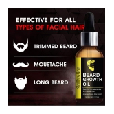 GULBADAN Premium Beard Oil for Beard Growth 30 mL