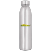 HomePro - Jointless Mirror Bottle Silver Water Bottle 1000 mL ( Set of 1 ) - Silver