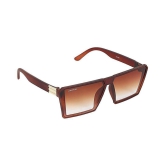 Creature - Brown Square Sunglasses ( Pack of 1 ) - Medium