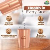 Pure Copper Tumbler for Immunity & Healthy Liver Function (Set of 2 Glasses)