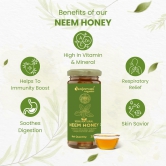 Sanjeevani 100% Natural Neem Honey | Raw Unprocessed 100% Natural Neem Honey 300g