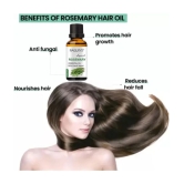 RAQUITYS Rosemary Essential Oil 100% PURE for Hair Growth, Skin, Anti Dandruff 15ML