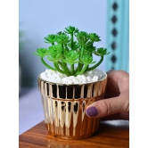 Golden Stripes - Artificial Plant with Glossy Ceramic Pot