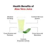 NUTROCOPIA Aloe Vera Juice | For Glowing Skin & Healthy Hair | Organic & Natural Juice Made With Cold Pressed Aloe Vera 400 ML