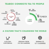 Teabox - Assorted Green Tea Bags - (100g - 20 sachets each) - Pack of 2