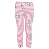 Naughty Ninos - Multi Cotton Girls Leggings ( Pack of 2 ) - None