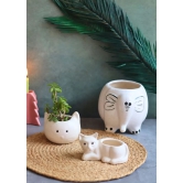 Ele, Cat & Kitty Planters