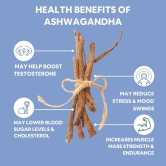 CF 100% Organic Ashwagandha Powder - Withania Somnifera - USDA Certified Organic Ashwagandha for Vitality, Strength & Stress Management - 100g Veg Powder