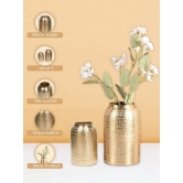 Decorative Modern Gold Metal Table Flower Dolchi Shape Vase for Festive Décor