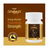 Leeford Shilajit Tablets Pack of 2 ( 60 Tab Each)