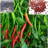 homeagro - Chilli Vegetable ( 50 Seeds )