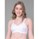 Dollar Missy White Cotton Non Padded Womens Everyday Bra ( Pack of 1 ) - None