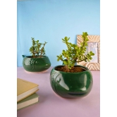 Green Catfish Planter