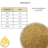 Native Pods Kodo Millet Unpolished 500g- Varagu, Harka,Arikelu - Natural & Organic - Gluten free and Wholesome Grain without Additives