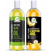 GULBADAN Cold Pressed Olive Oil and Castor Oil 100 mL Pack of 2