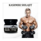 EARTH KING Kashmiri Shilajit Resin | Raw Shilajit  (Semi Liquid) - 40Gm (Pack of 2)