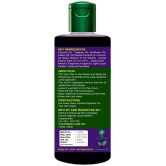 Vishvambhari Scalp Treatment Neem Oil 100 ml ( Pack of 1 )