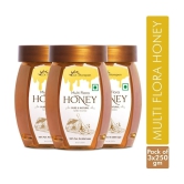 Dr. Morepen Multi Flora Honey 250gm Each- Pack of 3