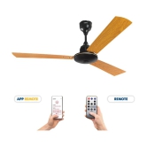 Orpat 1200 BLDC Moneysaver Plus Ceiling Fan Golden - Golden