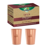 Pure Copper Tumbler for Immunity & Healthy Liver Function (Set of 2 Glasses)