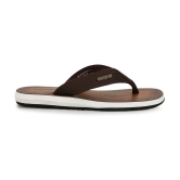 Campus - Brown Mens Thong Flip Flop - None