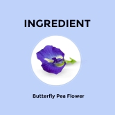 Butterfly Pea Flower Herbal Infusion - 100 Teabags-300 PTB / Flower Herbal Infusion