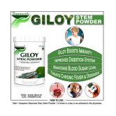 rawmest Giloy Powder 200 gm Vitamins Powder