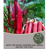 Okra/Bhindi/Lady Finger Vegetable Hybrid Seeds | Pack of 15 seeds