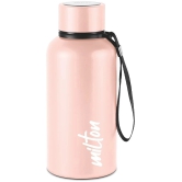 Milton Aura 500 Thermosteel Bottle, 520 ml, Beige | 24 Hours Hot and Cold | Easy to Carry | Rust Proof | Leak Proof | Tea | Coffee | Office| Gym | Home | Kitchen | Hiking | Trekking | Travel