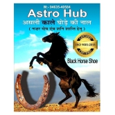 •	 Kale Godhe ki naal/Black Horse Shoe/ghore ki naal/Horse Shoe for Good Luck/Naal to Protect Your Home/Office from Evil Eyes,(Brown