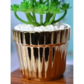 Golden Stripes - Artificial Plant with Glossy Ceramic Pot