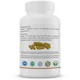 GOLDENACACIA HERRBALS Triphala 500mg 240 Capsules Capsule 1 no.s