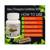 Dr. Thapar's GILOY GHANVATI(Tinosporia Cordifolia)60 Capsule 500 mg