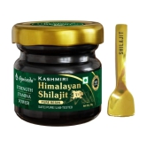 Agniveda Naturals Kashmiri Himalayan Shilajit Resin Performance Booster- 20G