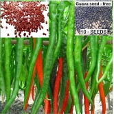 homeagro- Chilli Vegetable Seeds (Pack of 40)