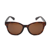 Brown Square Sunglasses for Men