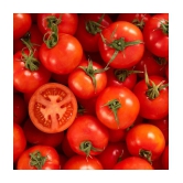 Tomato Vegetables Seeds - Pack of 50 Hybrid Seeds