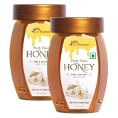 Dr. Morepen Multi Flora Honey 500 g