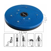 Rotating Tummy Trimmer Twister Acupressure Twister - Multi Color