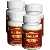 DEEMARK Shilajit Gold Capsules for Men to Increase Sexual Power | Enhance Stamina Naturally & Balances Testosterone & Increase Libido | Capsules Made with Shilajit, Safed Musli, Ashwagandha, Gokshura, Kesar, & Gold Dust. (Pack of 4)