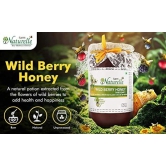 Farm Naturelle-Berry Honey| 850g+150gm Extra and a Wooden Spoon|100% Pure Lab Tested Honey In Glass Bottle.