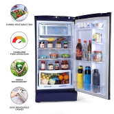 Godrej 180 L 2 Star Direct Cool Advanced Capillary Technology Single Door Refrigerator With Jumbo Vegetable Tray (RD EDGE 205B WRF ST BL, Steel Blue)