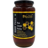 Farm Naturelle- Raw, 100% Natural NMR Tested, Pass, Certified Jungle Honey All Purpose Strong and Delicious Wild Forest Flower Honey (1.45 Kg) Glass Bottle.