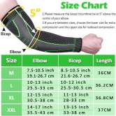 Leosportz Elbow Support for Gym