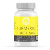 Holy Natural Turmeric Curcumin capsule 1000 mg Vitamins Capsule