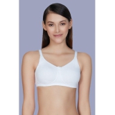 Amante Cotton T-Shirt Bra - White Single - 32B